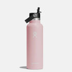 Standard Mouth with Flex Straw Cap 21 OZ בקבוק שתייה עם קש